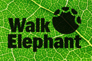 Walk Elephant logo